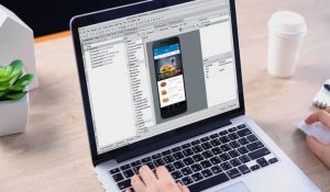 App Development Preview